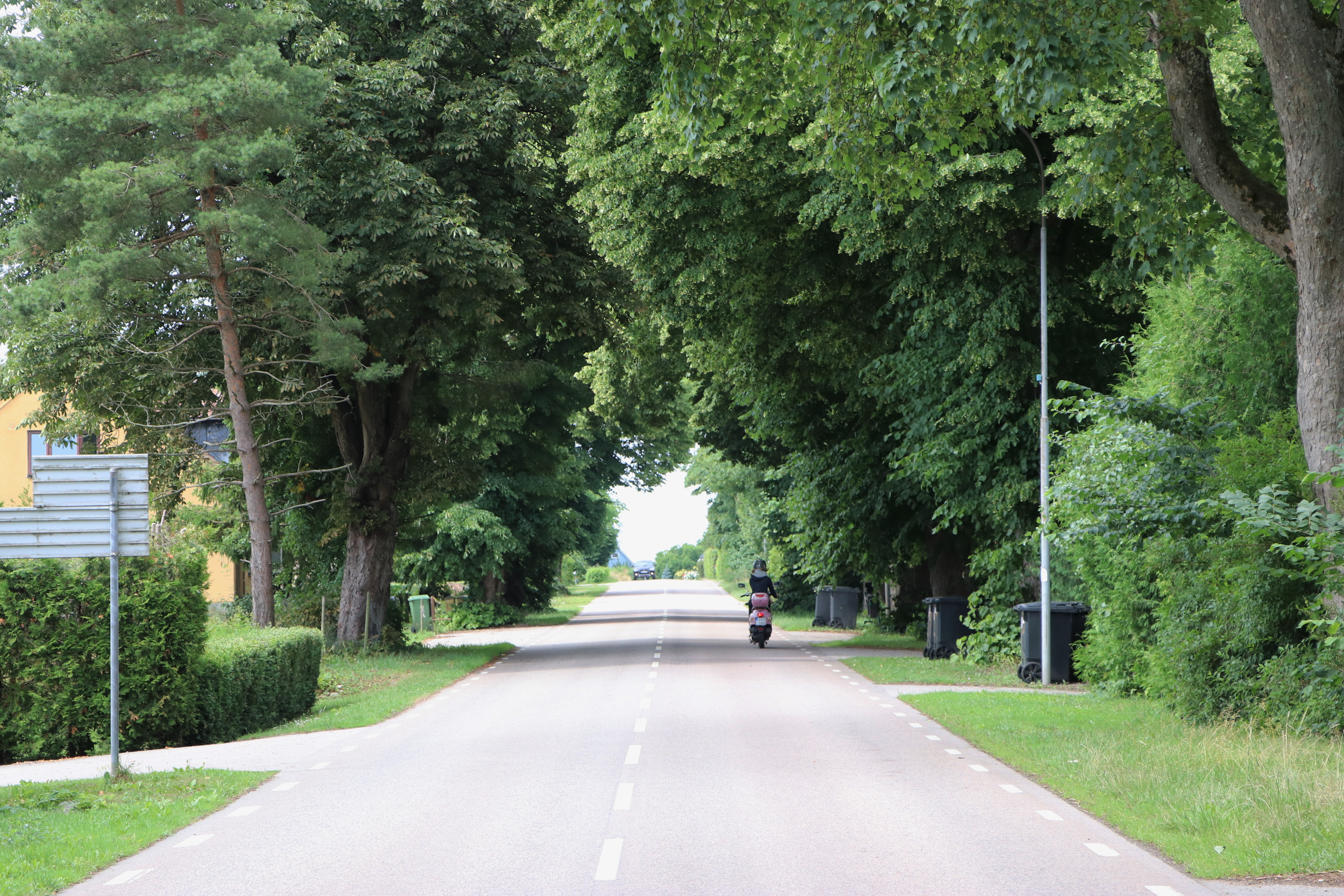 Tullesboallén i Bjärsjöladugård väg allé ung tjej kör moped