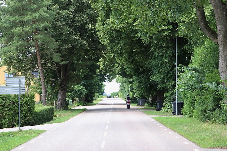 Väg genom Bjärsjölagård - alle med moped som färdas.