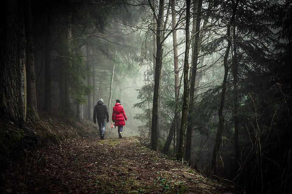 Par promenerar i skogen walk and talk för psykisk hälsa