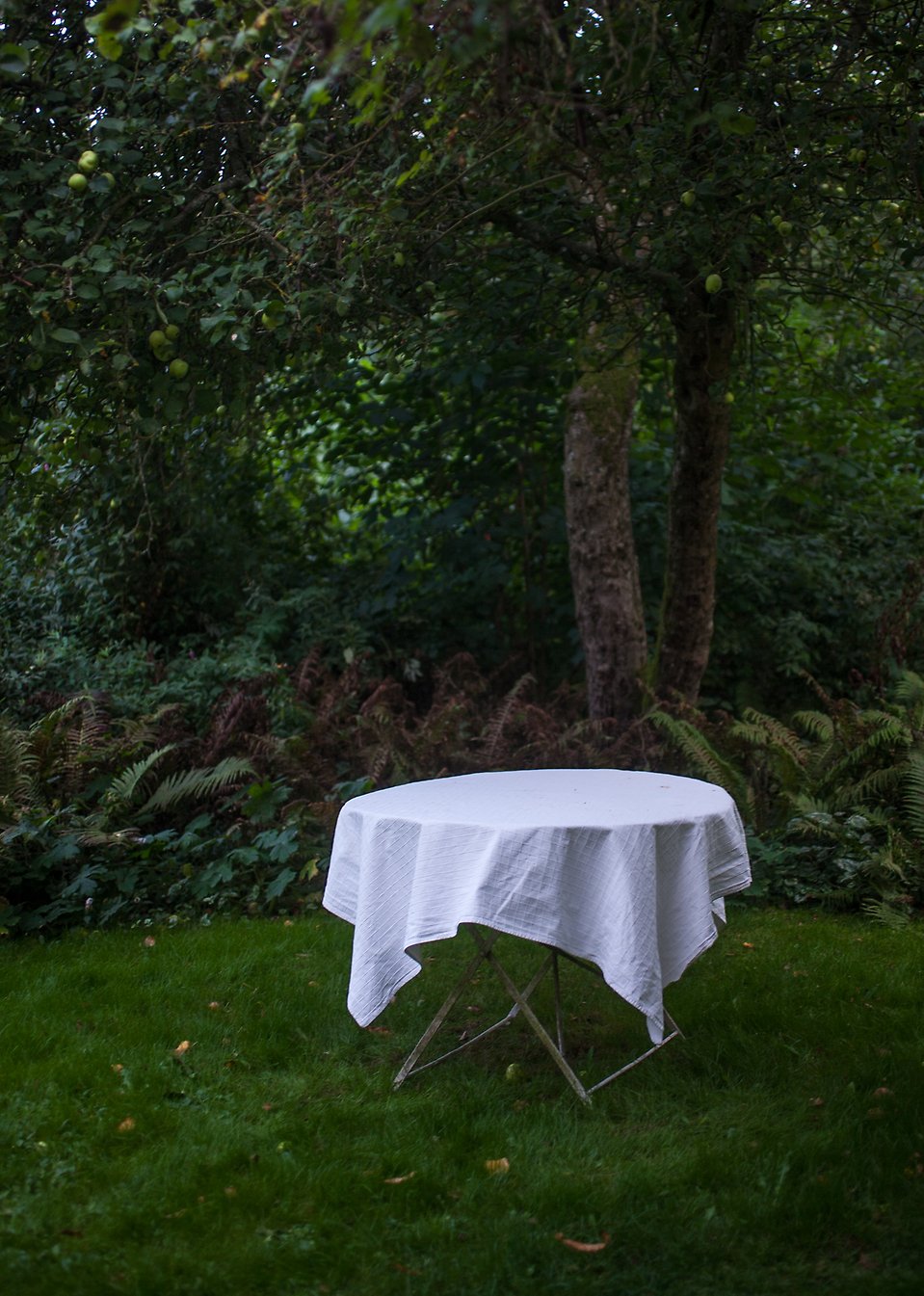 Fotografi av Gabriella Dahlman