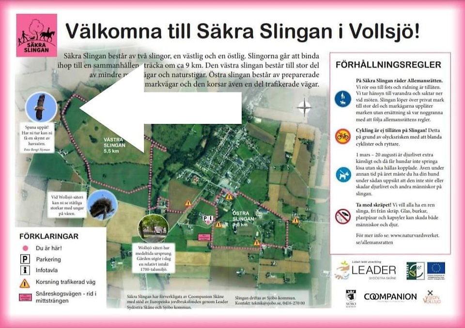 Vy över fälten mellan hästens öron, säkra slingan Vollsjö, Sjöbo kommun