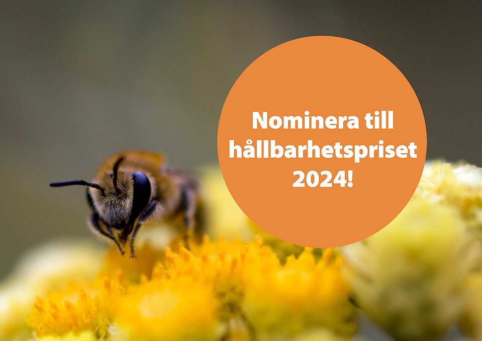 Nominera till hållbarhetspriset 2024