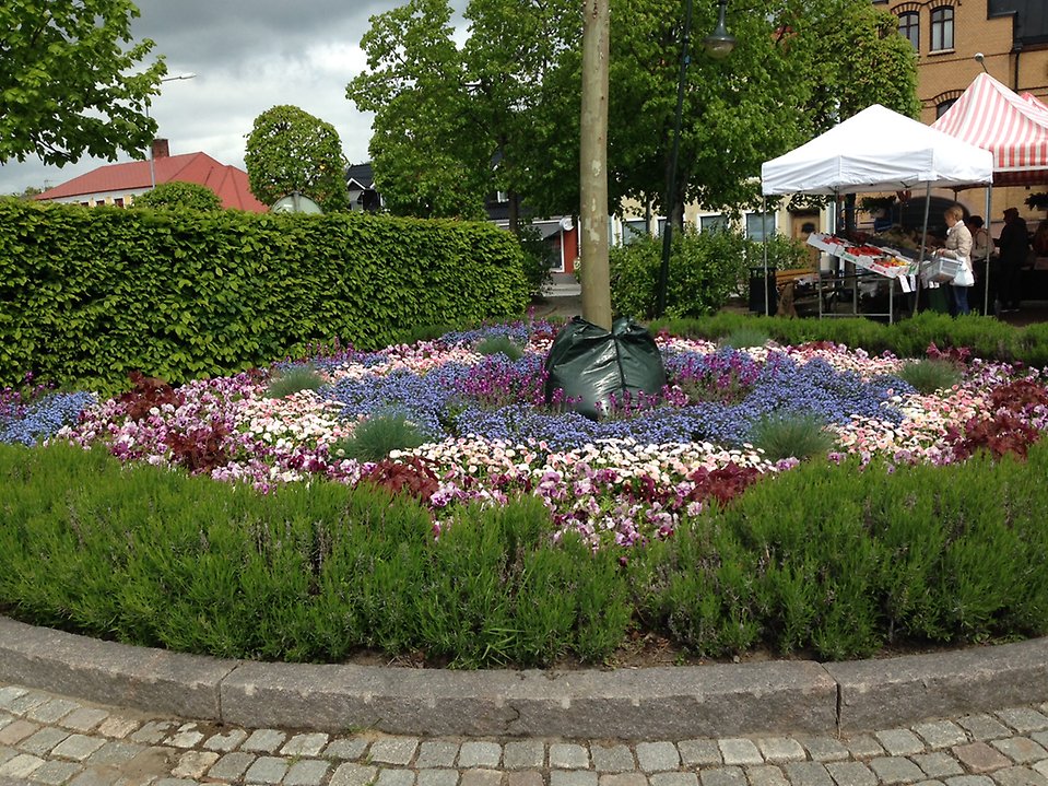 Bild på plantering Gamla torg i Sjöbo