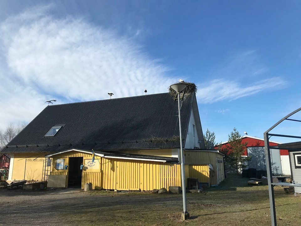 I ur och skur Storkboet förskola