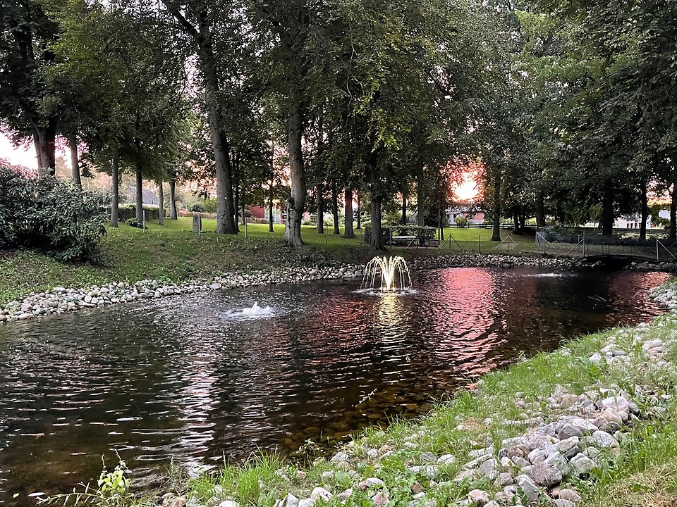 Bild på norra dammen i Malenas park